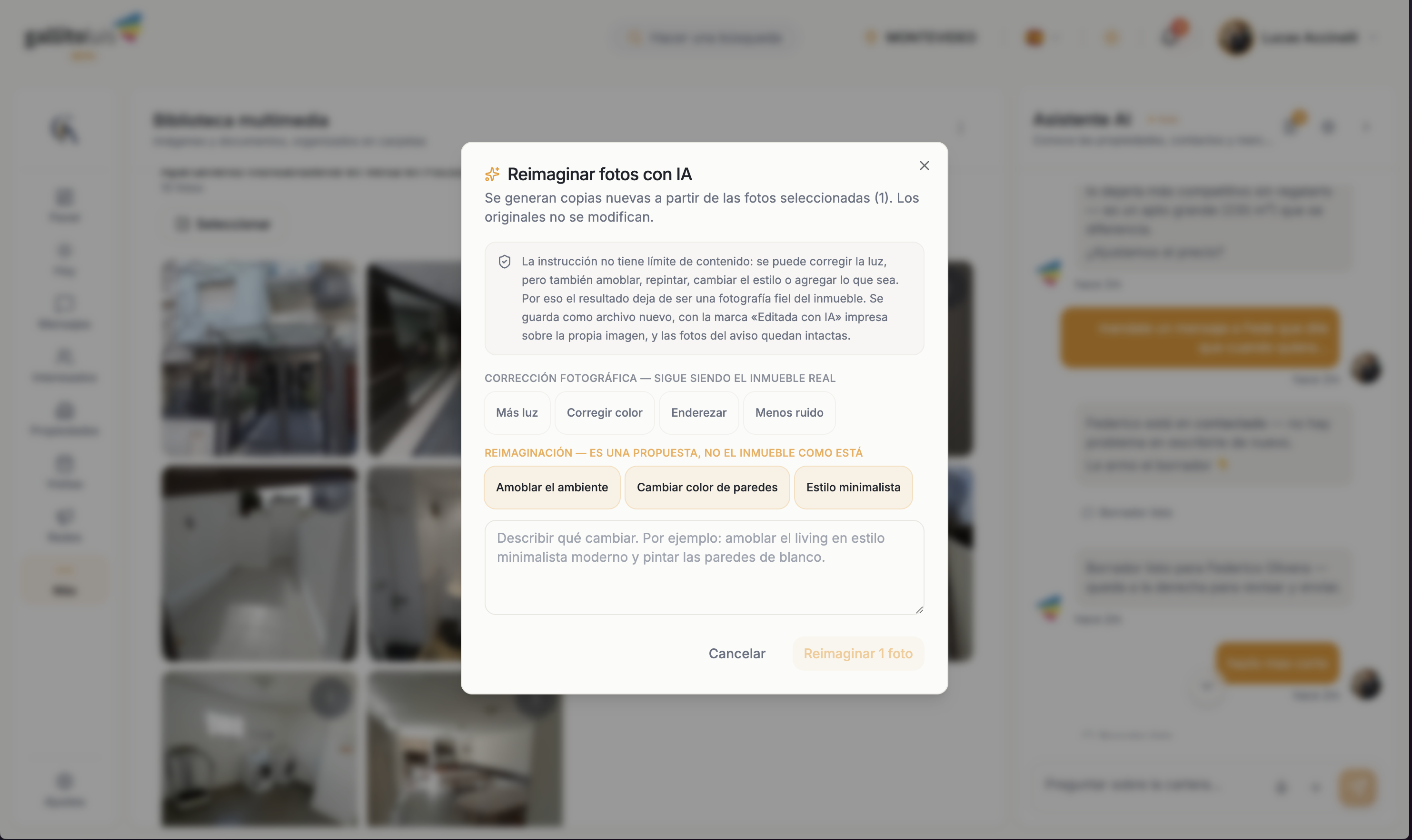 Modal de Re-imagine con foto, instrucciones y opciones de edición